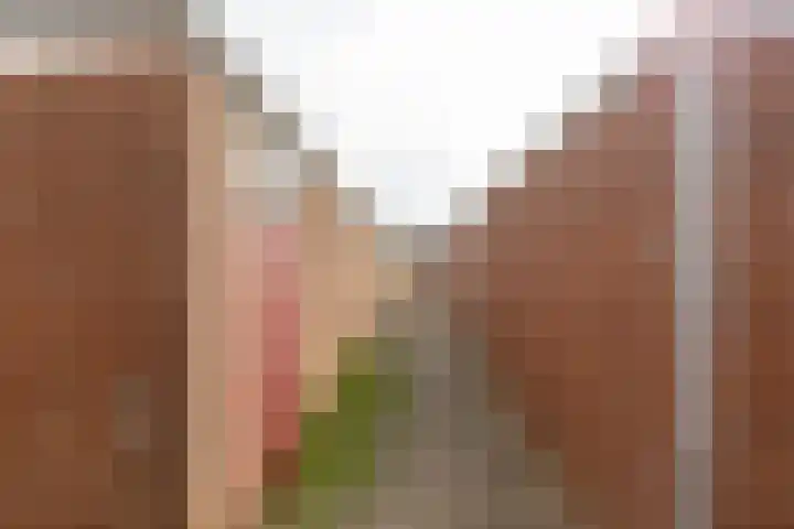Prof.Van der Leeuwstraat 7 's-Heerenberg thumbnail 35