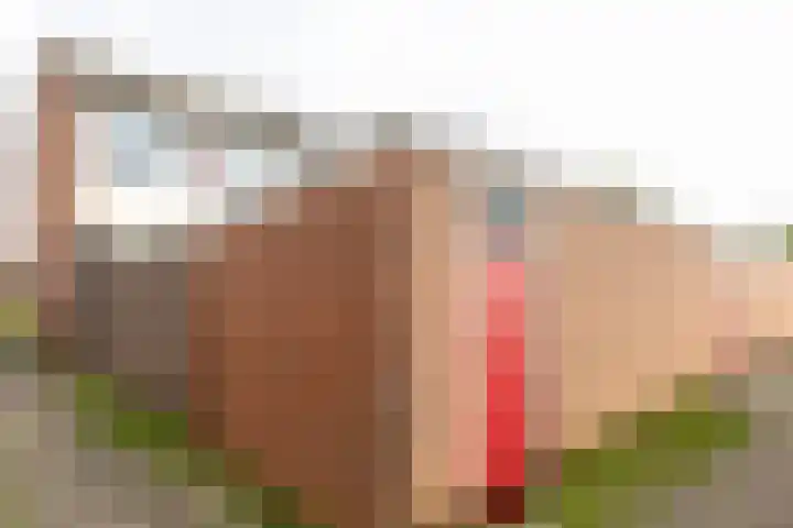 Prof.Van der Leeuwstraat 7 's-Heerenberg thumbnail 36