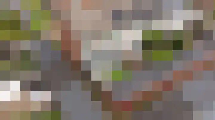 Prof.Van der Leeuwstraat 7 's-Heerenberg thumbnail 38