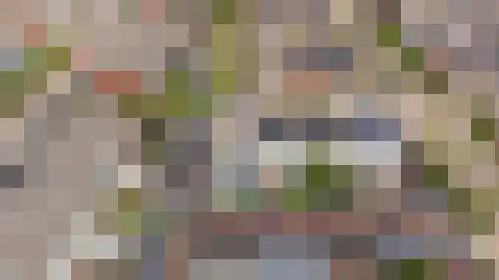Prof.Van der Leeuwstraat 7 's-Heerenberg thumbnail 39