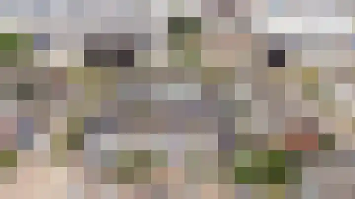 Prof.Van der Leeuwstraat 7 's-Heerenberg thumbnail 7