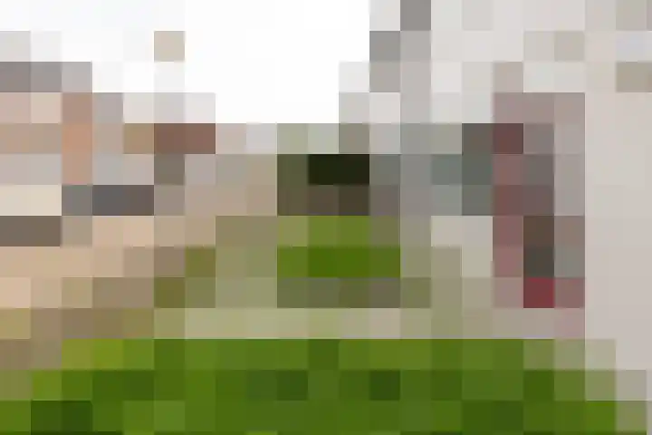 Prof.Van der Leeuwstraat 7 's-Heerenberg thumbnail 9