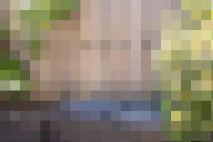 Prof. van der Potlaan 6 Baarn thumbnail 25