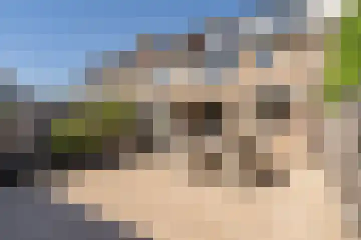 Prof. van der Potlaan 6 Baarn thumbnail 26
