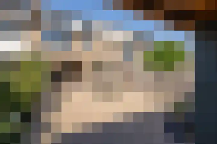 Prof. van der Potlaan 6 Baarn thumbnail 27