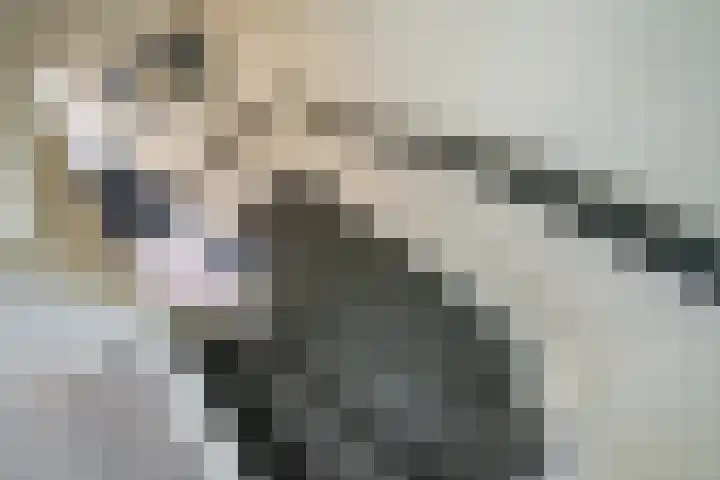Prof. van der Potlaan 6 Baarn thumbnail 33