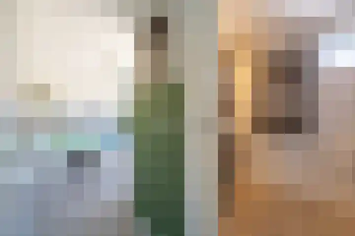 Prof. van der Potlaan 6 Baarn thumbnail 40