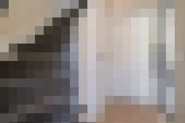 Prof. van der Potlaan 6 Baarn thumbnail 7