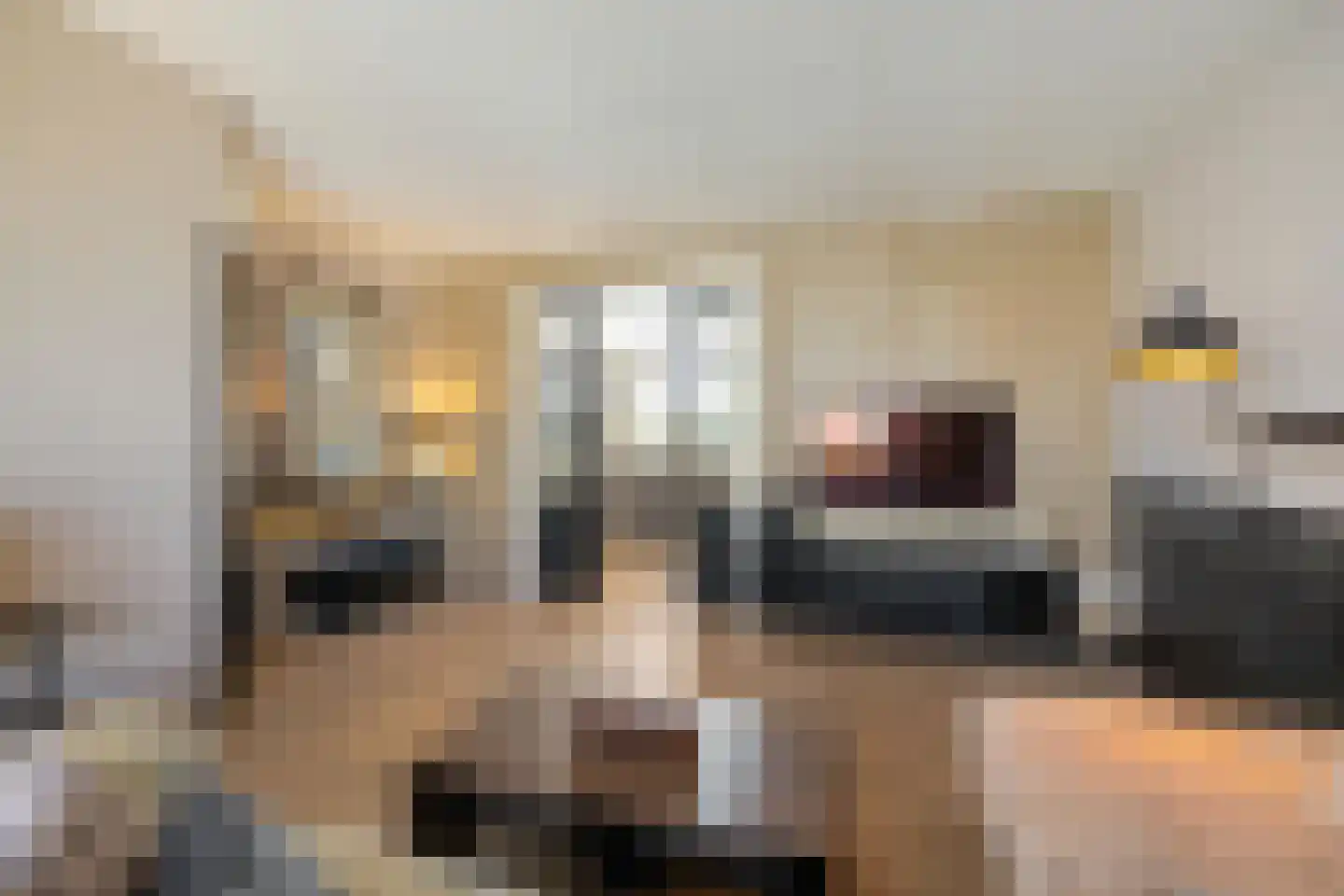 Prof van Giffenweg 11 Noordhorn thumbnail 10