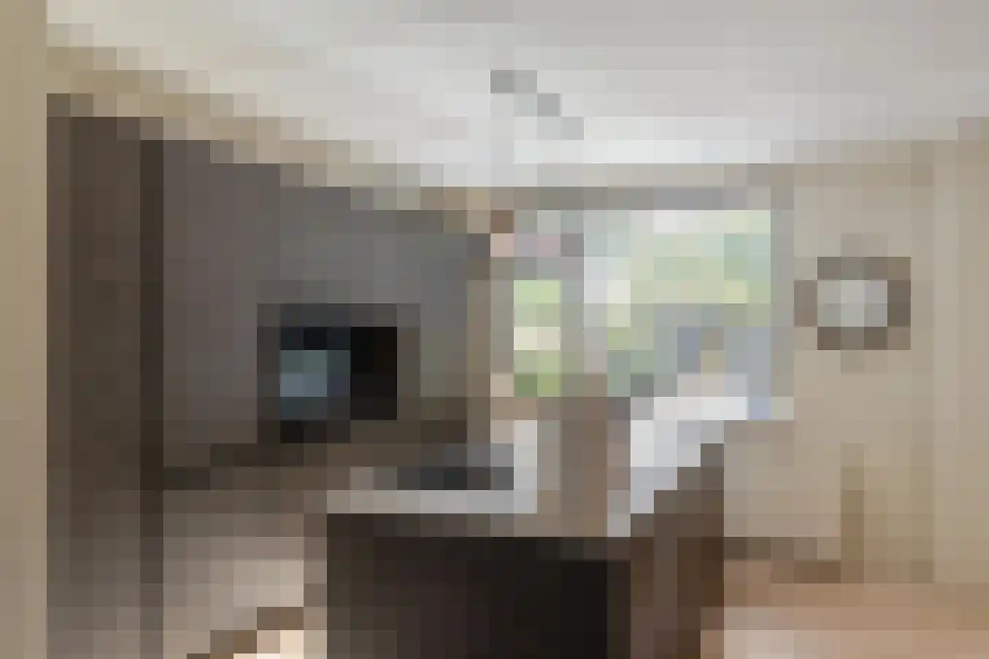 Prof van Giffenweg 11 Noordhorn thumbnail 13