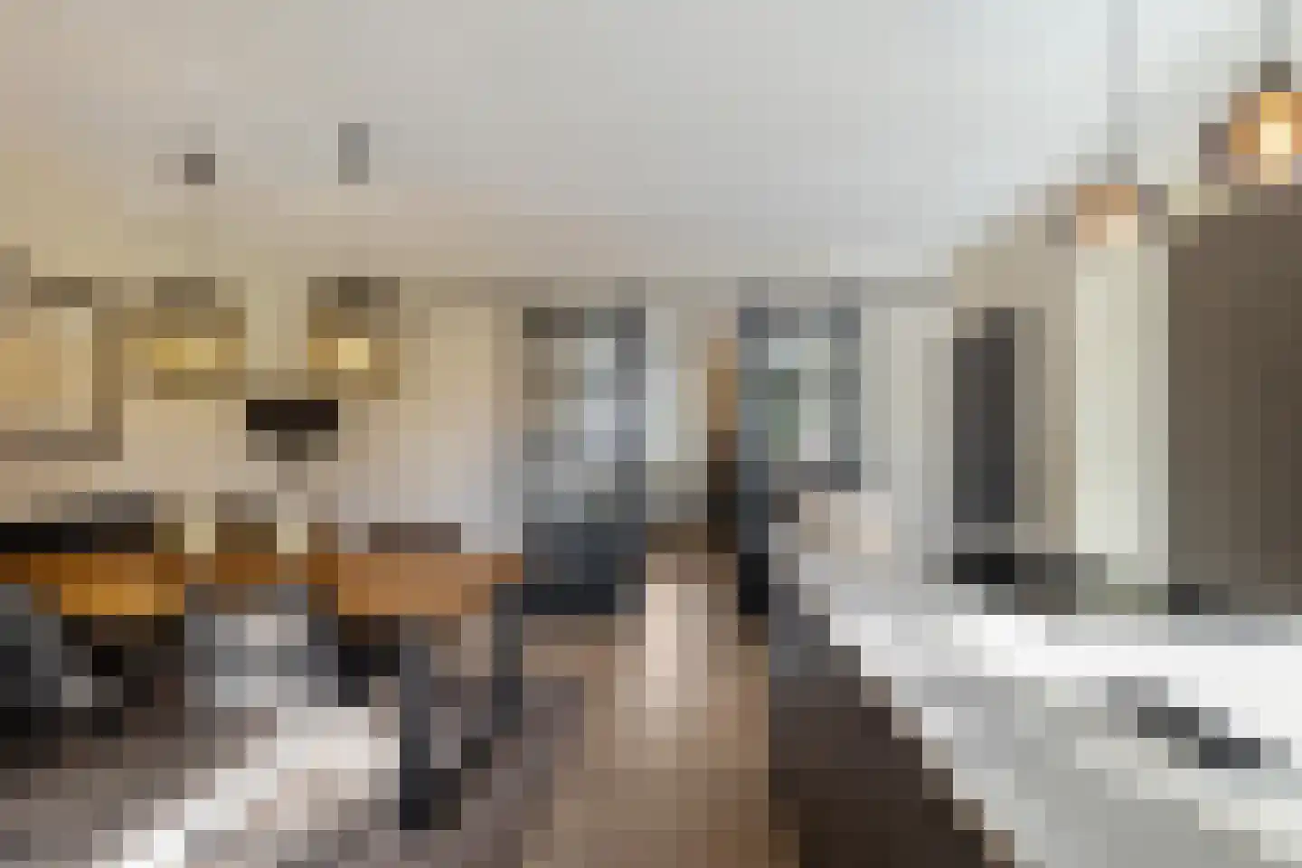 Prof van Giffenweg 11 Noordhorn thumbnail 15