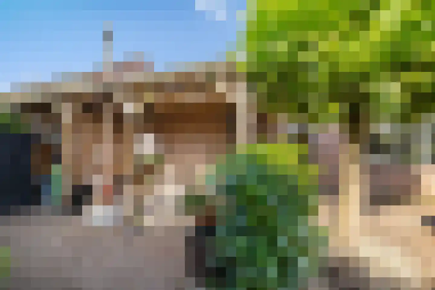Prof van Giffenweg 11 Noordhorn thumbnail 19