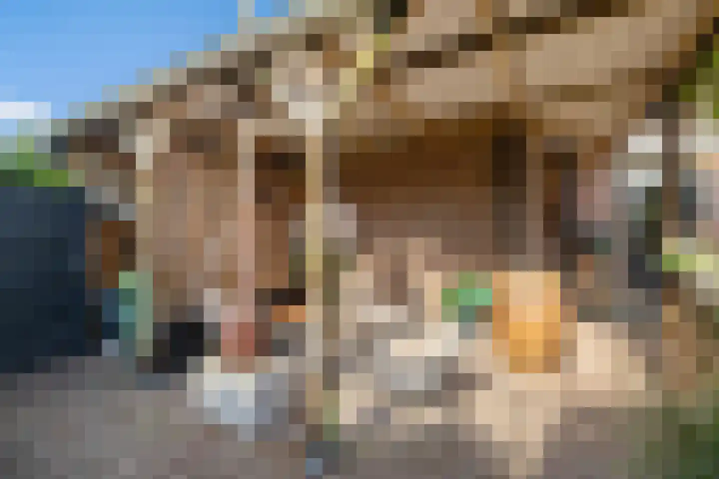Prof van Giffenweg 11 Noordhorn thumbnail 20