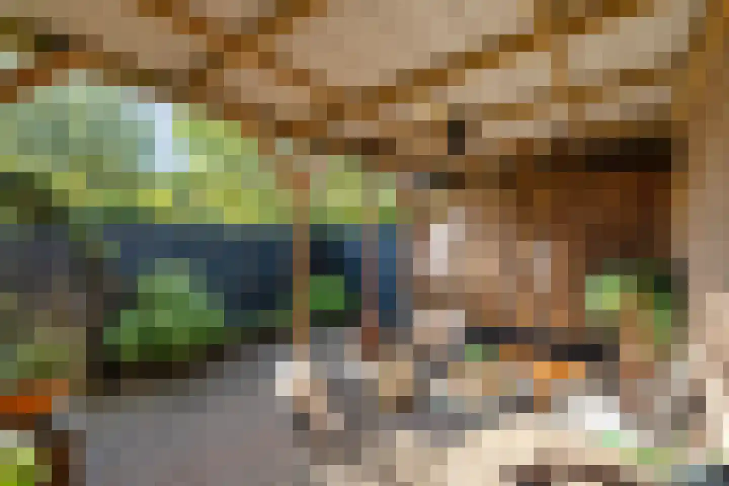 Prof van Giffenweg 11 Noordhorn thumbnail 22