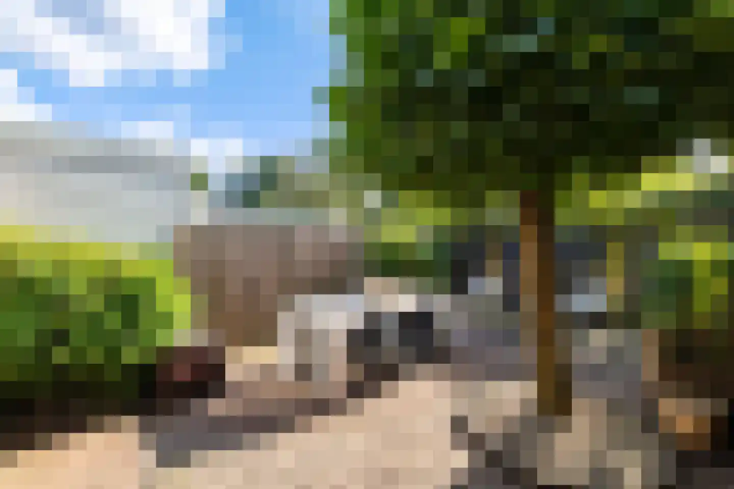 Prof van Giffenweg 11 Noordhorn thumbnail 25