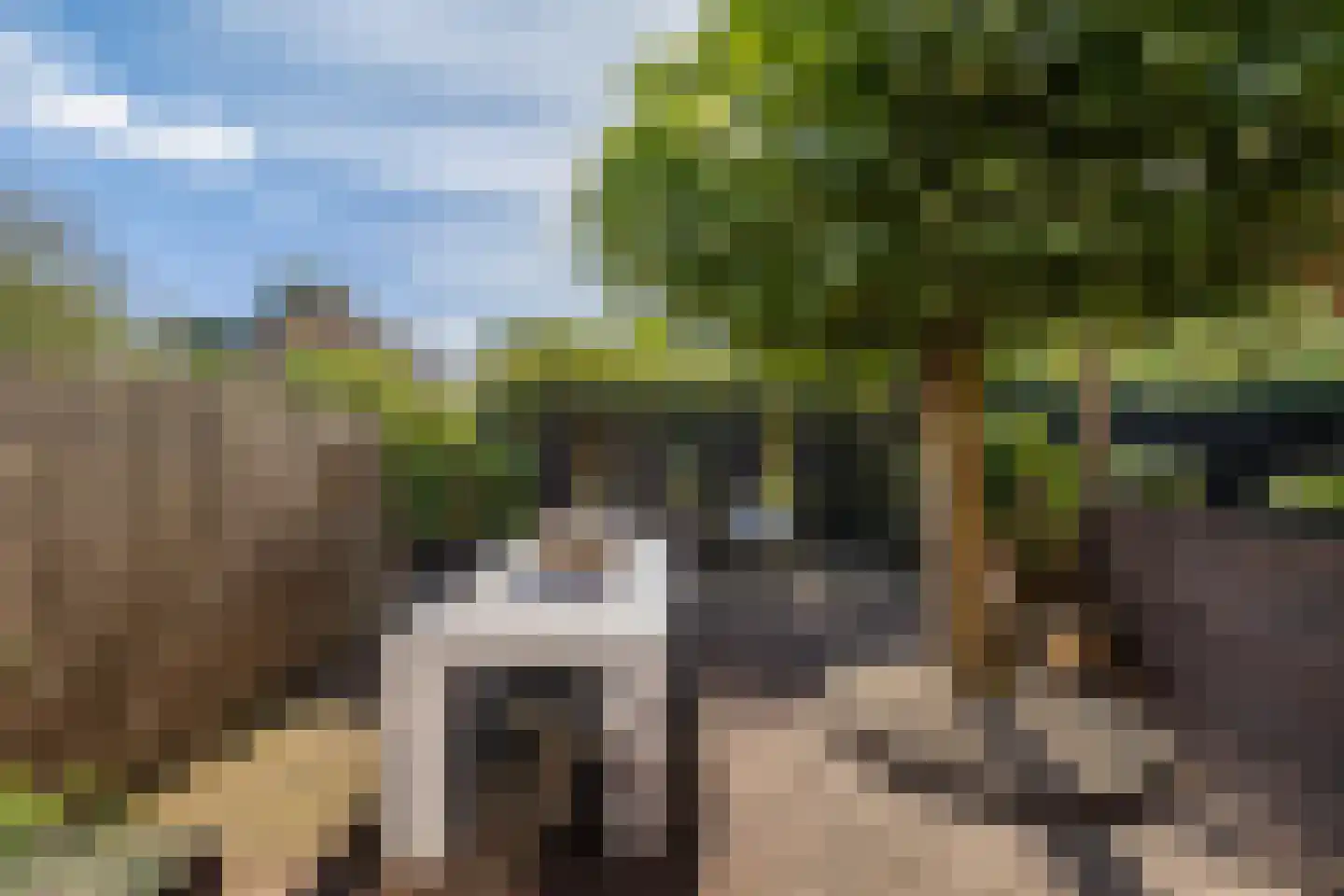 Prof van Giffenweg 11 Noordhorn thumbnail 26