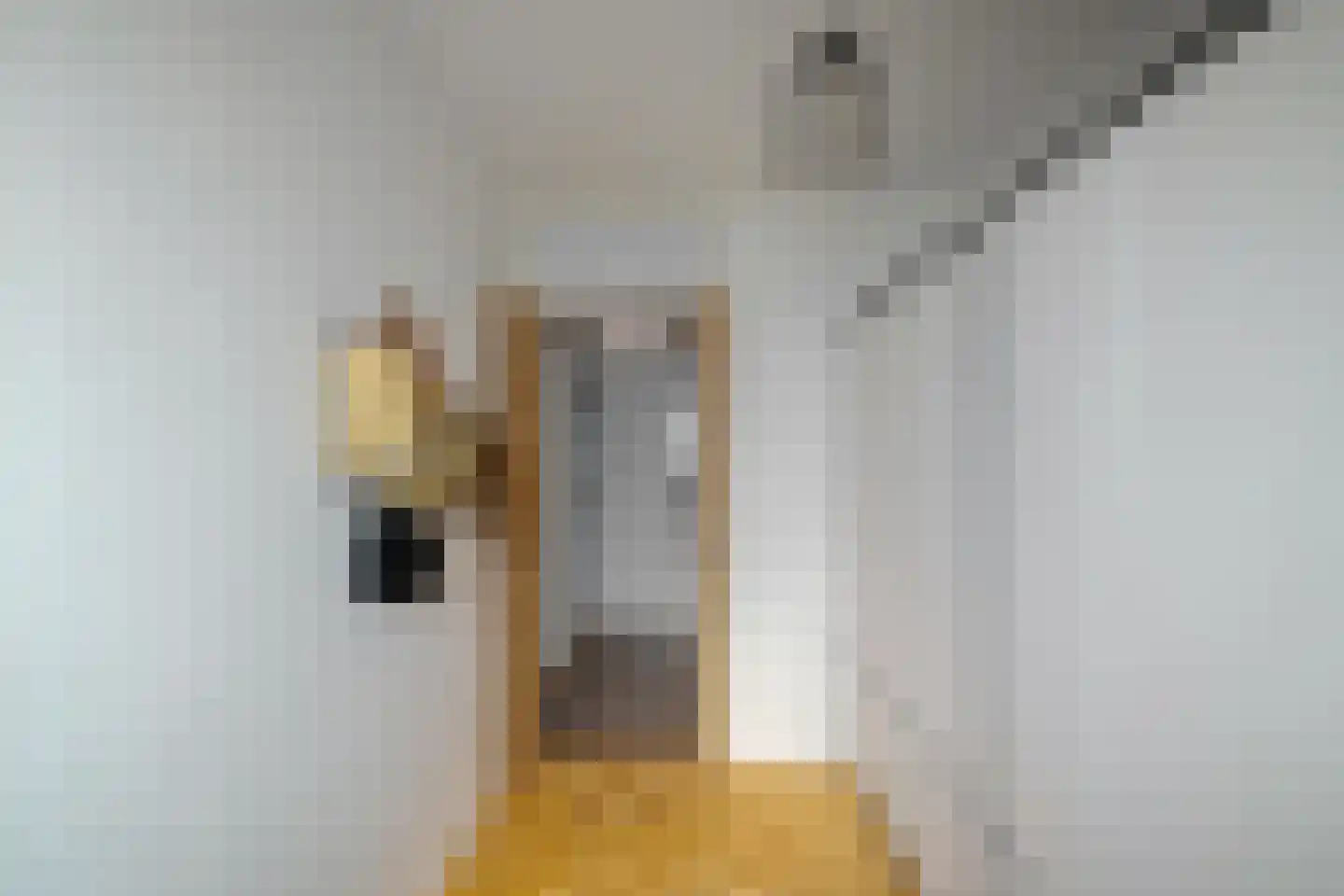 Prof van Giffenweg 11 Noordhorn thumbnail 32