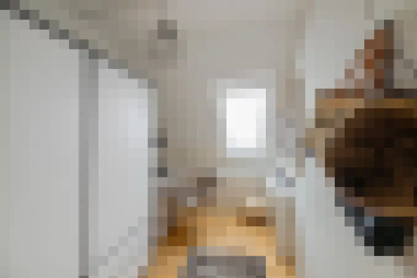 Prof van Giffenweg 11 Noordhorn thumbnail 33