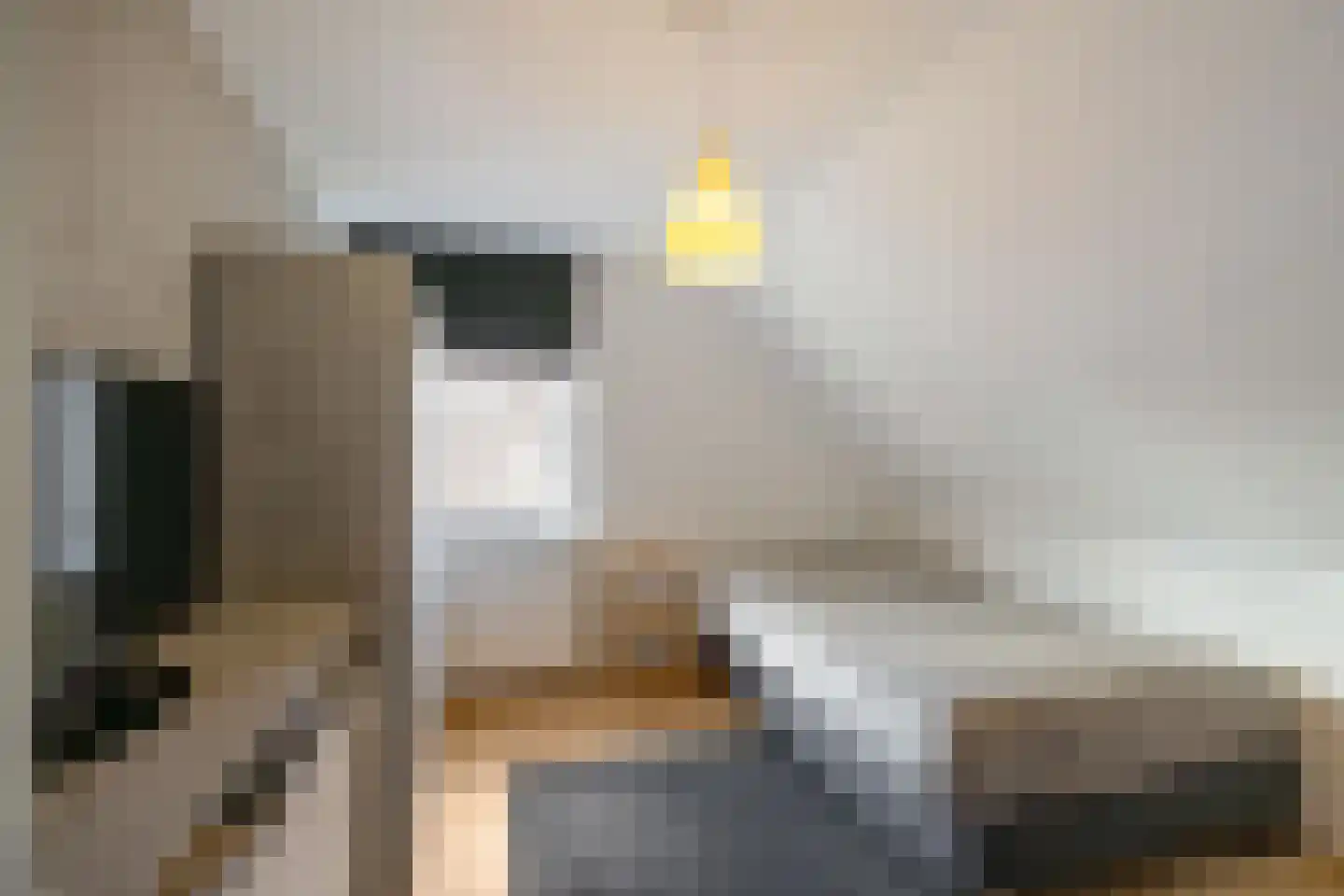 Prof van Giffenweg 11 Noordhorn thumbnail 39