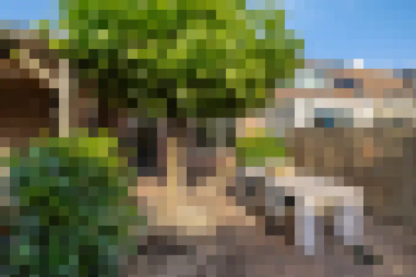 Prof van Giffenweg 11 Noordhorn thumbnail 4