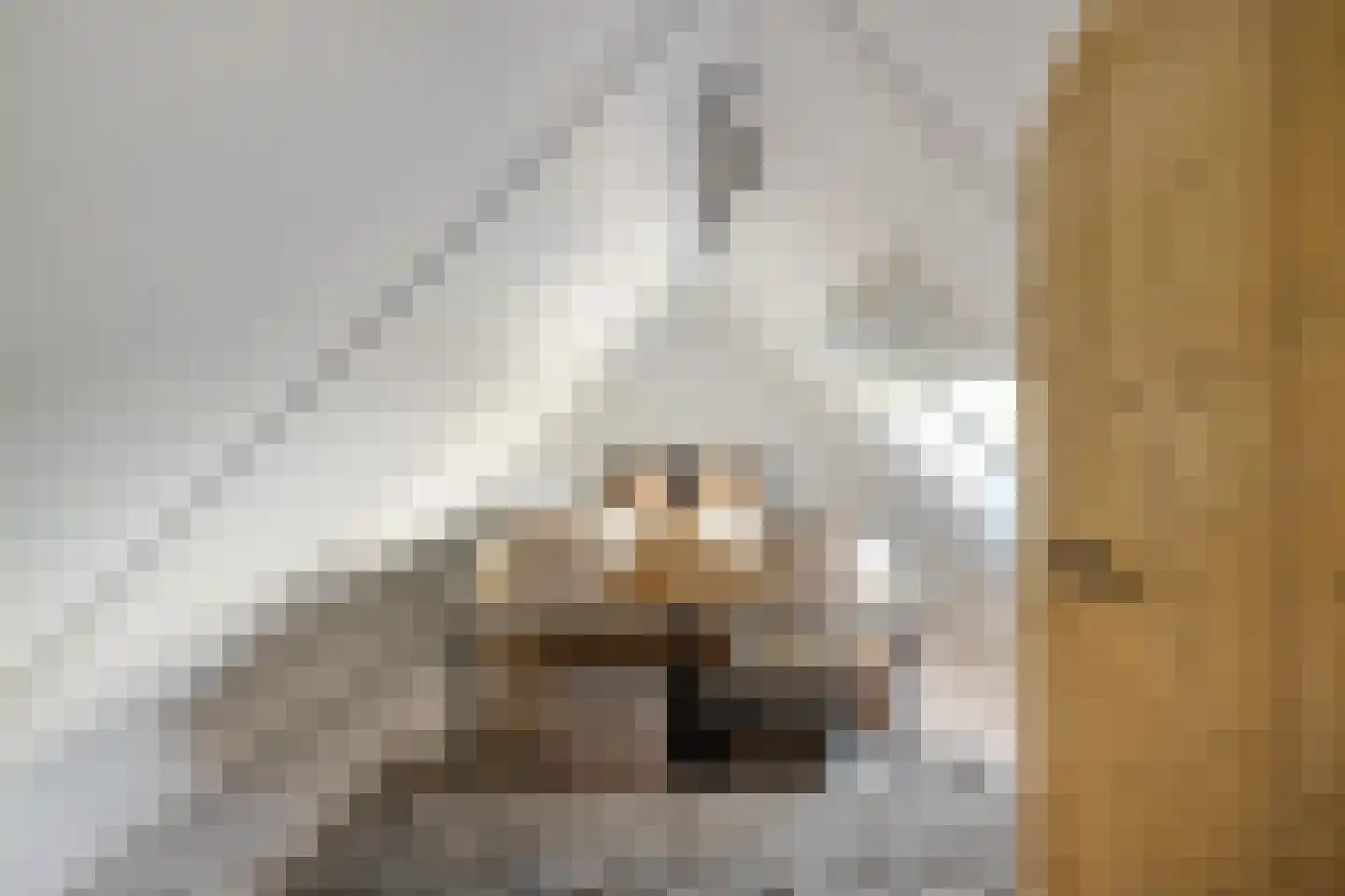 Prof van Giffenweg 11 Noordhorn thumbnail 40