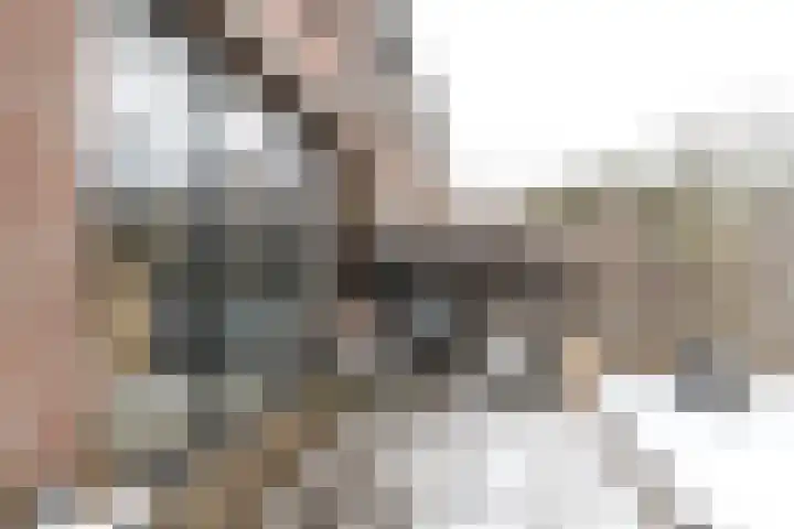 Prof van Giffenweg 3 Noordhorn thumbnail 18