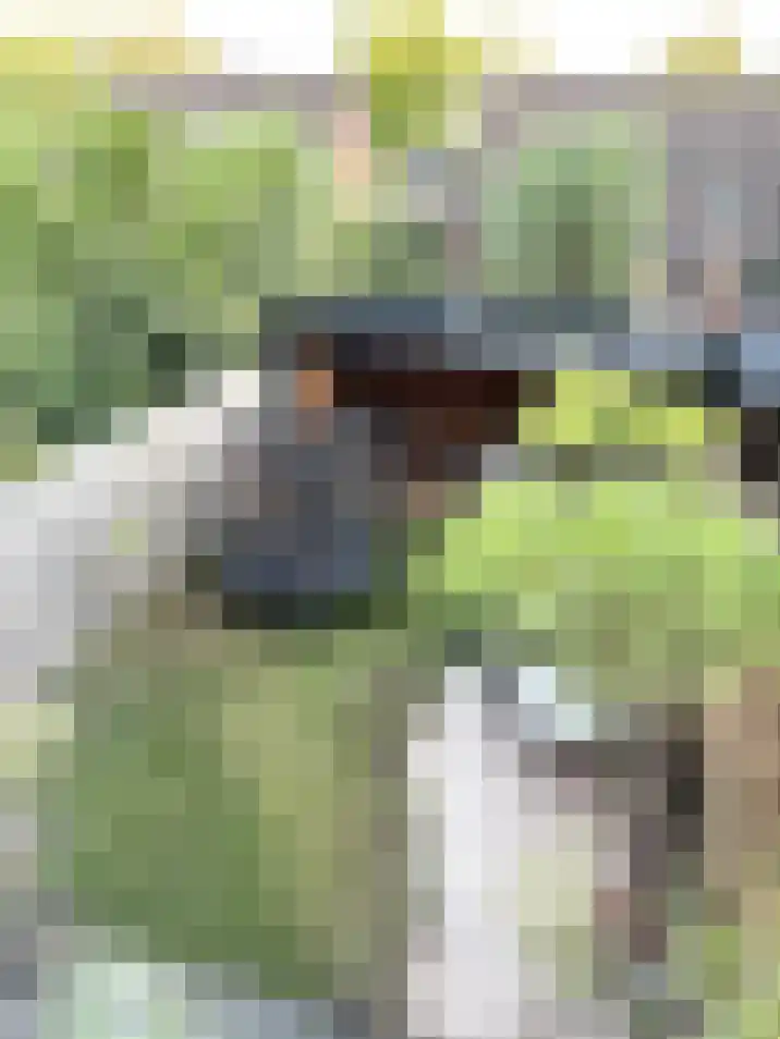 Prof van Giffenweg 3 Noordhorn thumbnail 20