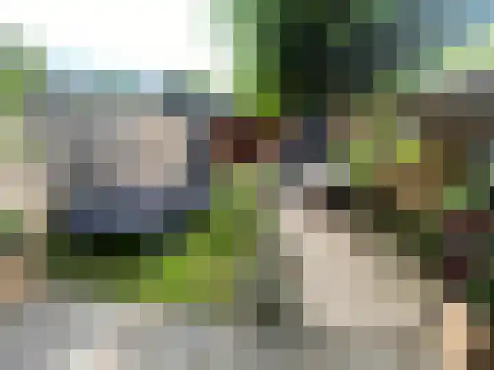 Prof van Giffenweg 3 Noordhorn thumbnail 21