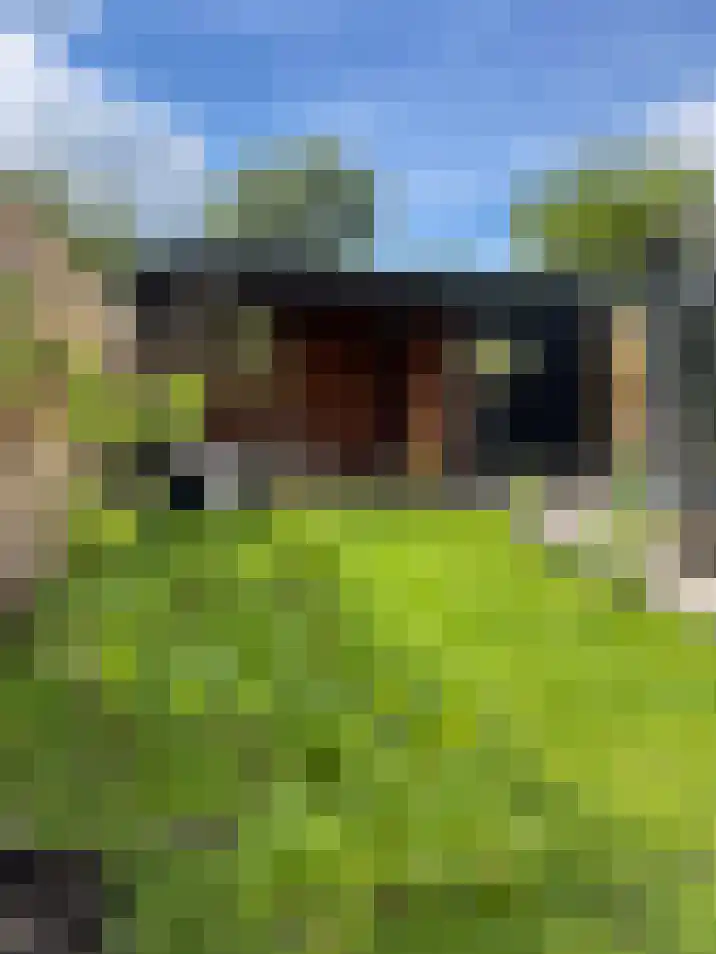Prof van Giffenweg 3 Noordhorn thumbnail 22