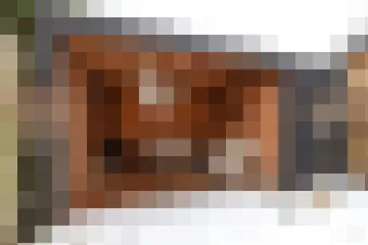 Prof van Giffenweg 3 Noordhorn thumbnail 25