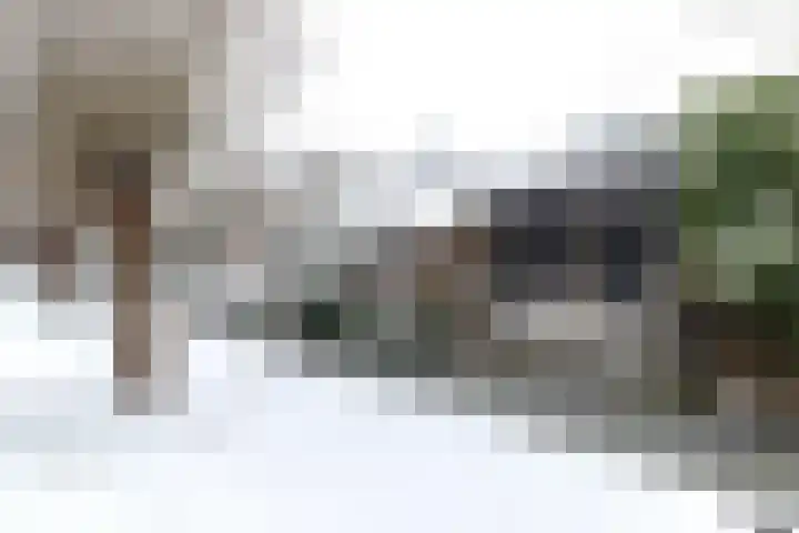Prof van Giffenweg 3 Noordhorn thumbnail 26