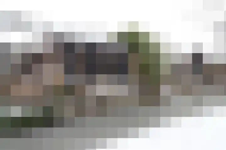 Prof van Giffenweg 3 Noordhorn thumbnail 28