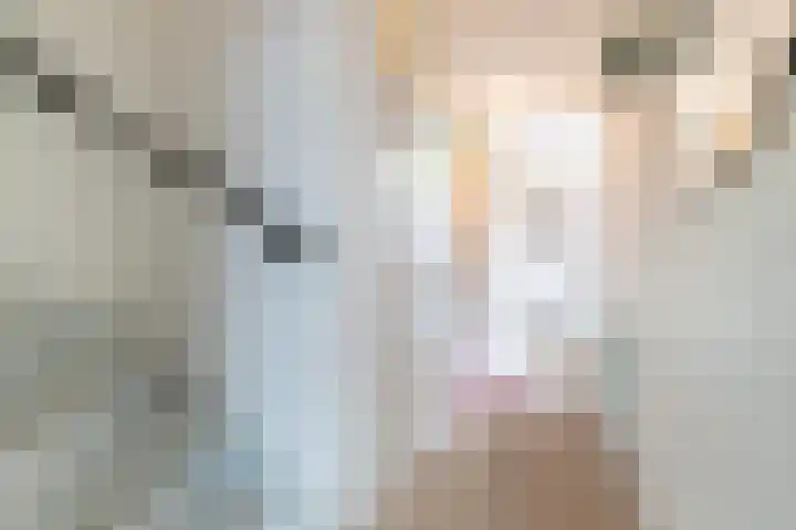 Prof van Giffenweg 3 Noordhorn thumbnail 32