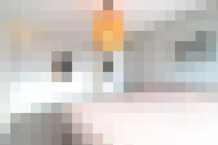 Prof van Giffenweg 3 Noordhorn thumbnail 35