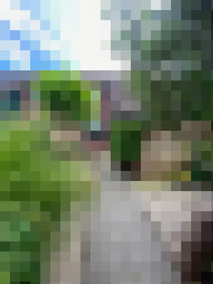 Prof van Giffenweg 3 Noordhorn thumbnail 7