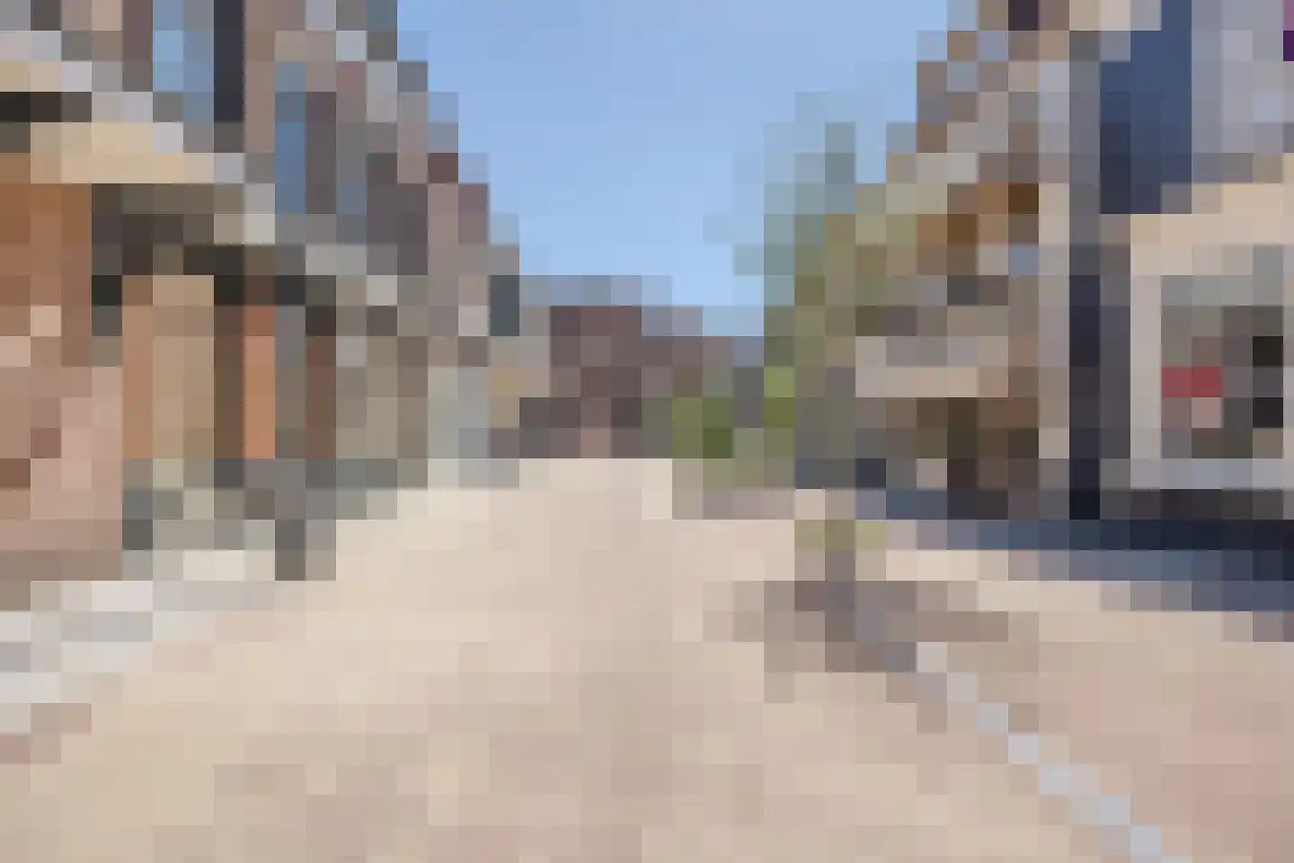 Prof van Ginnekenstraat 10 Oudenbosch thumbnail 11