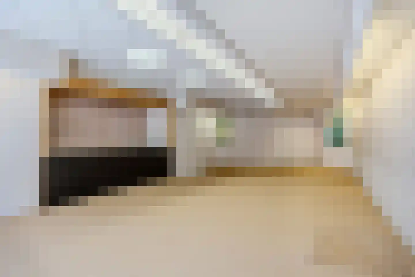 Prof van Ginnekenstraat 10 Oudenbosch thumbnail 20