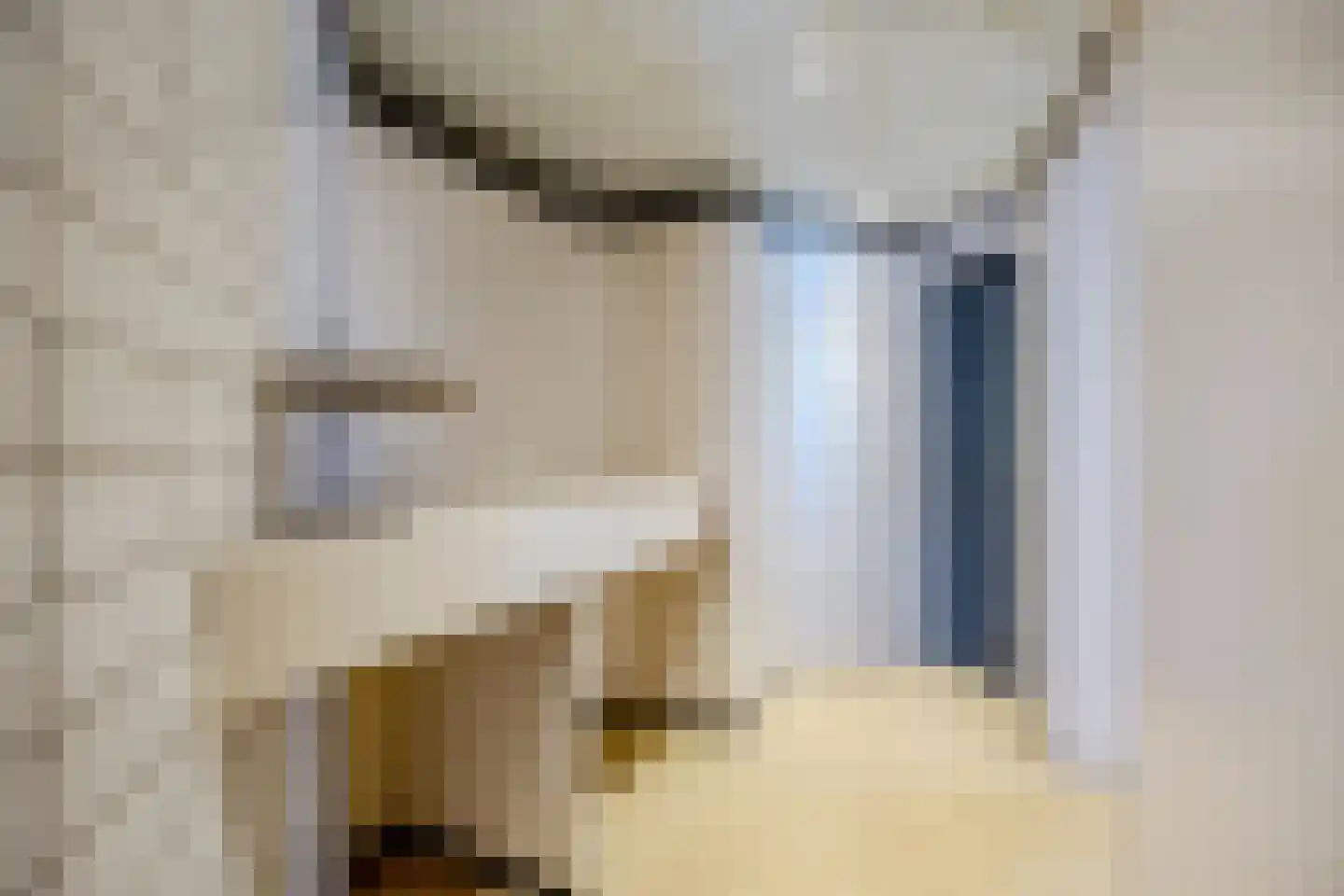 Prof van Ginnekenstraat 10 Oudenbosch thumbnail 23