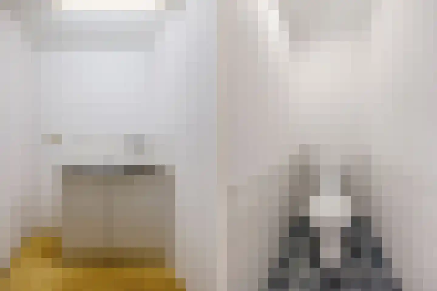 Prof van Ginnekenstraat 10 Oudenbosch thumbnail 27