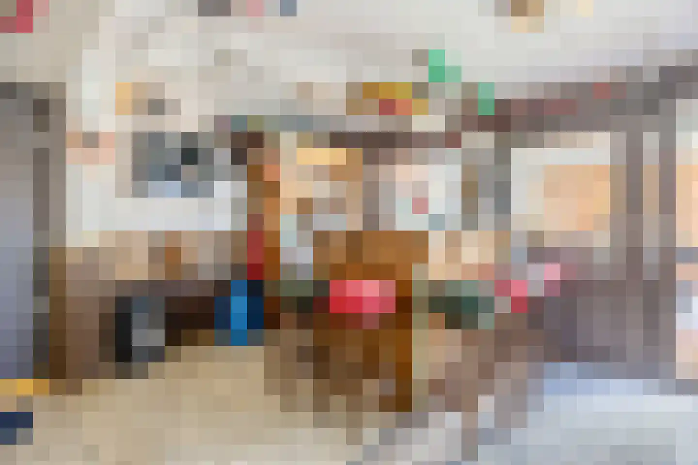 Prof van Ginnekenstraat 10 Oudenbosch thumbnail 31