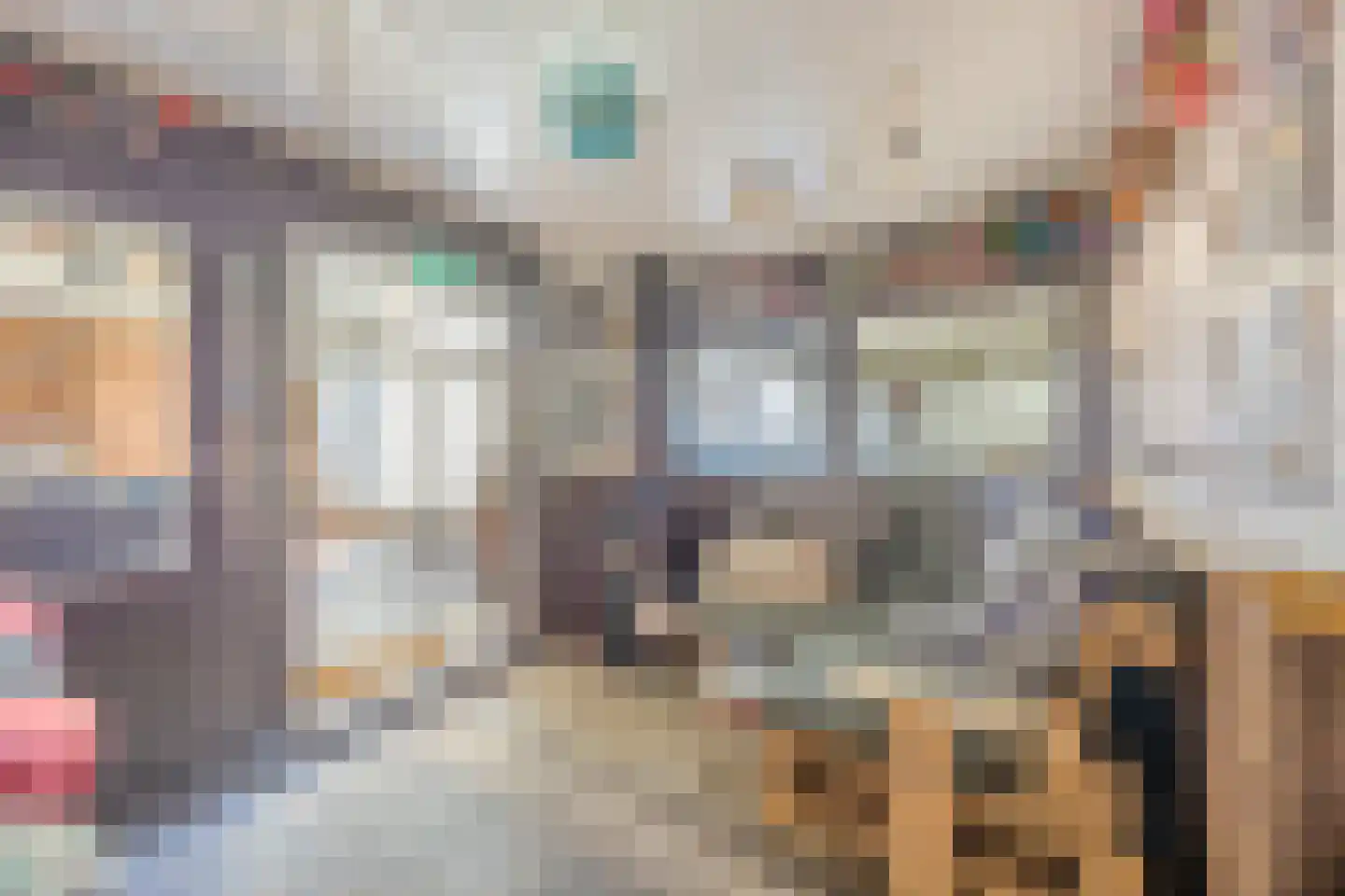 Prof van Ginnekenstraat 10 Oudenbosch thumbnail 33