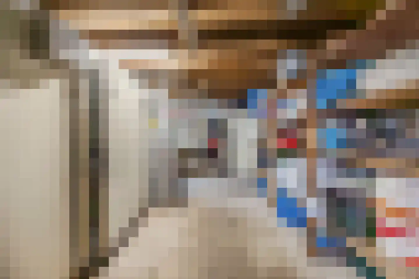Prof van Ginnekenstraat 10 Oudenbosch thumbnail 39