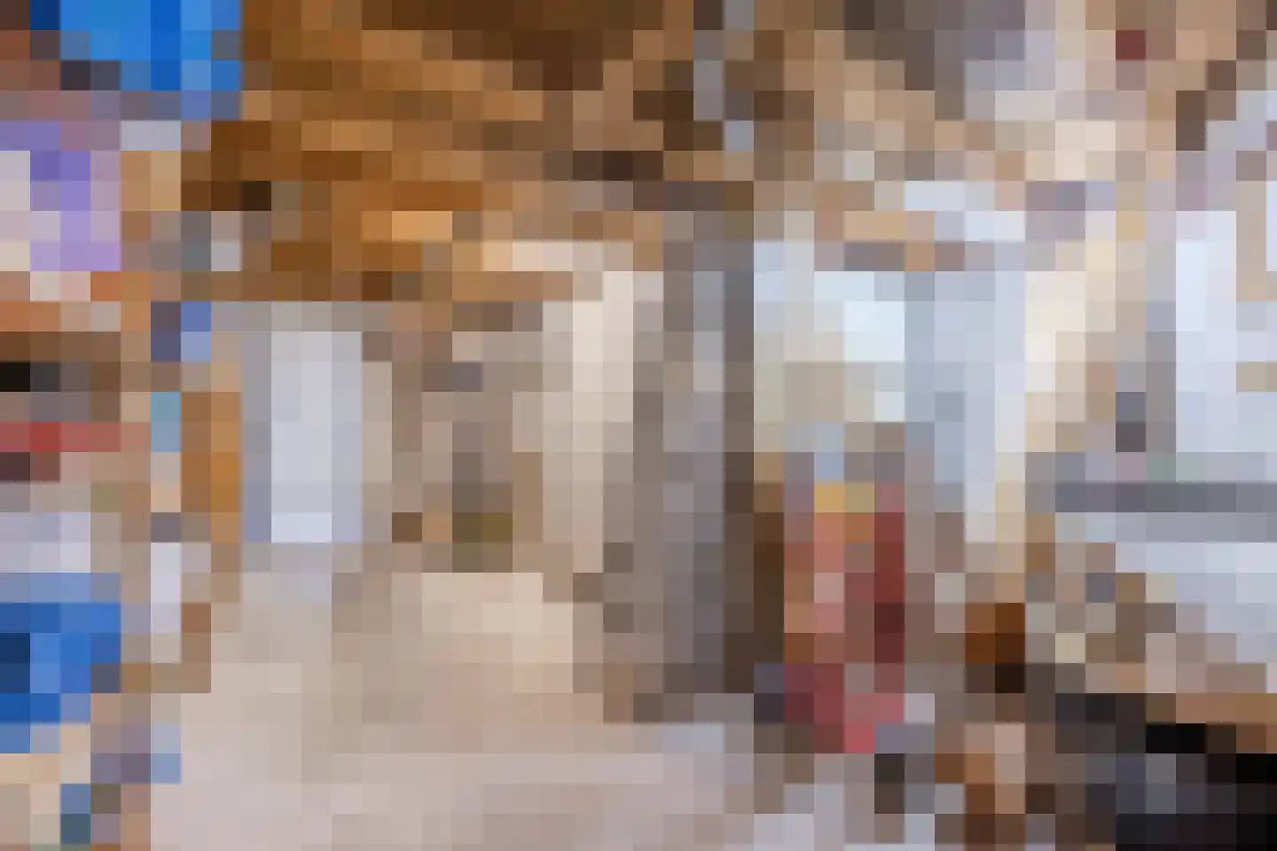 Prof van Ginnekenstraat 10 Oudenbosch thumbnail 41