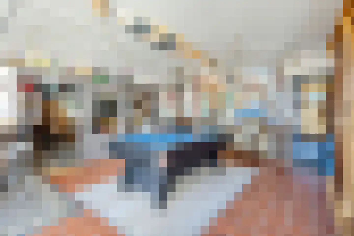 Prof van Ginnekenstraat 10 Oudenbosch thumbnail 48
