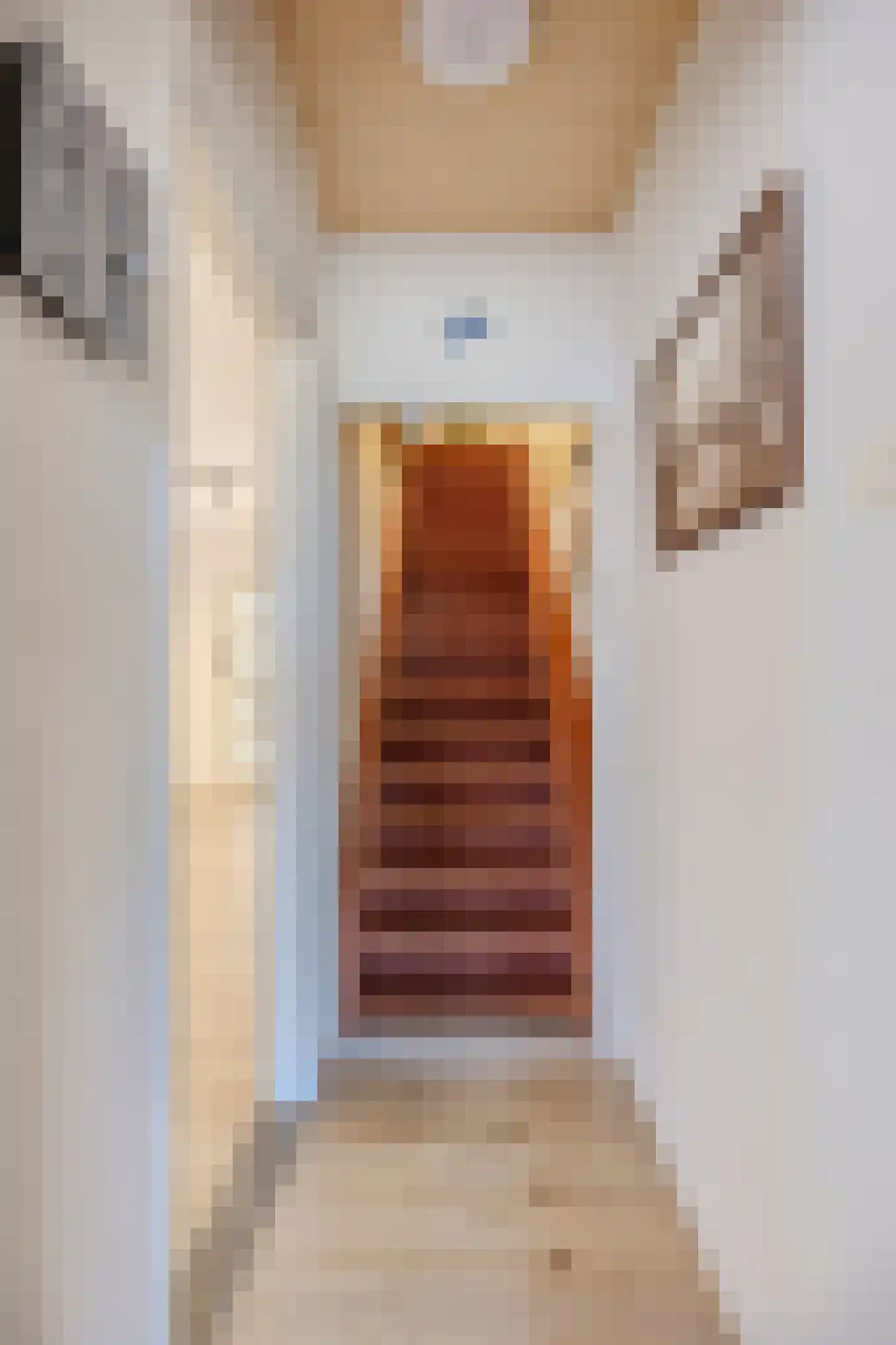Prof van Ginnekenstraat 10 Oudenbosch thumbnail 50