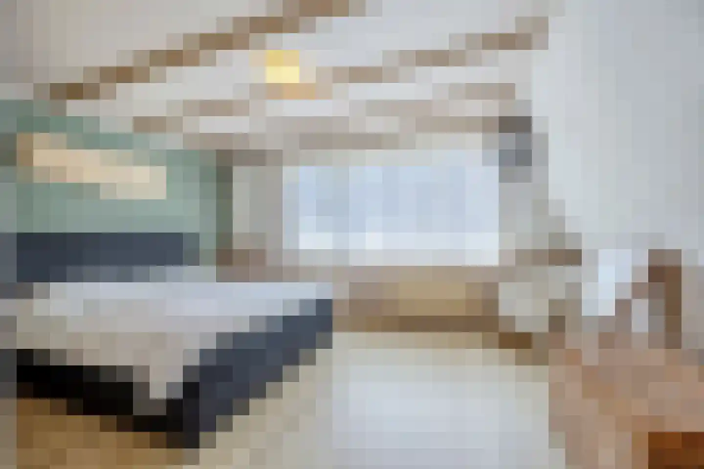 Prof van Ginnekenstraat 10 Oudenbosch thumbnail 58