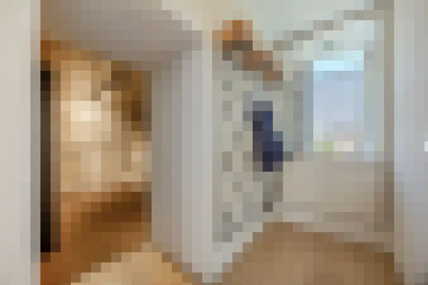 Prof van Ginnekenstraat 10 Oudenbosch thumbnail 68