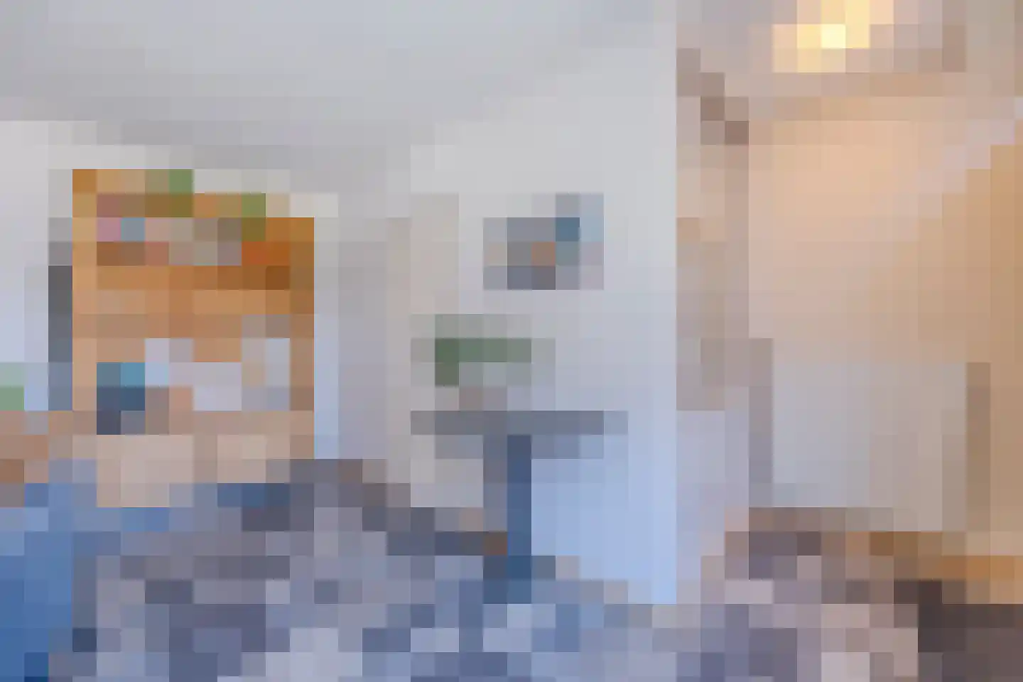 Prof van Ginnekenstraat 10 Oudenbosch thumbnail 69