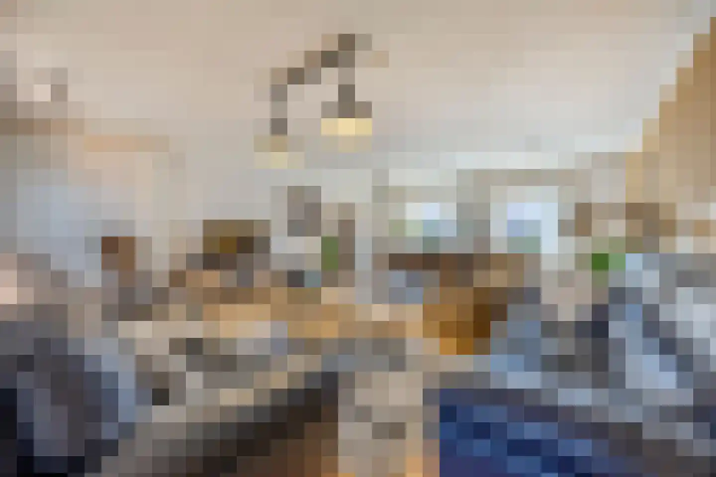 Prof van Ginnekenstraat 10 Oudenbosch thumbnail 80