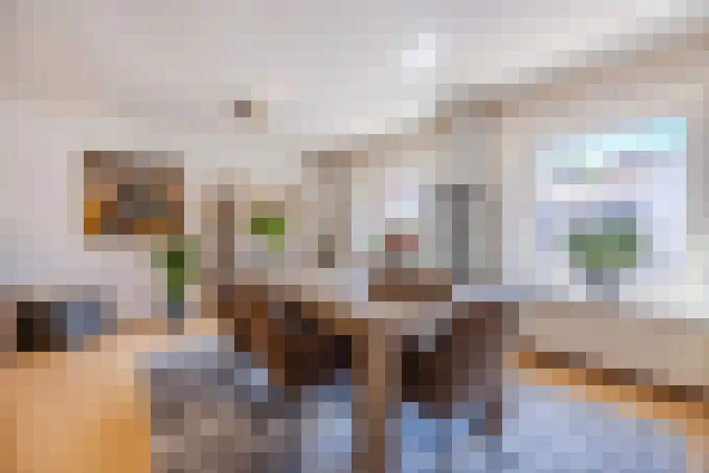 Prof van Ginnekenstraat 10 Oudenbosch thumbnail 82